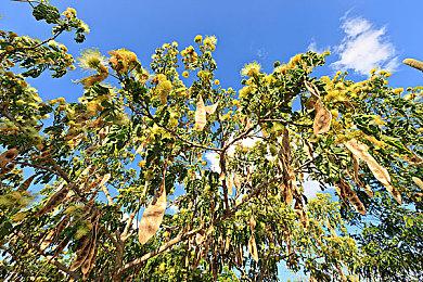 《刀剑神域：异绊集结》新预告片展示新福利事件